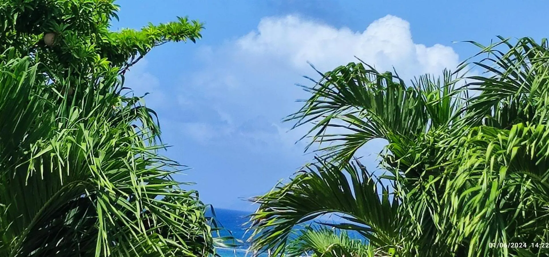Apartman Azure Bungalows Sapote Saint-Francois  Guadeloupe